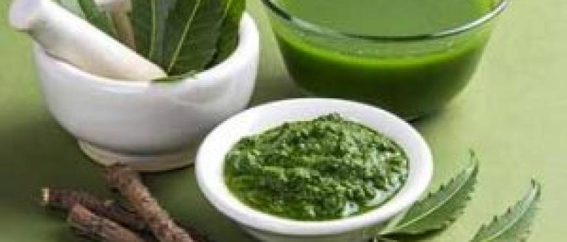 Neem Extract 