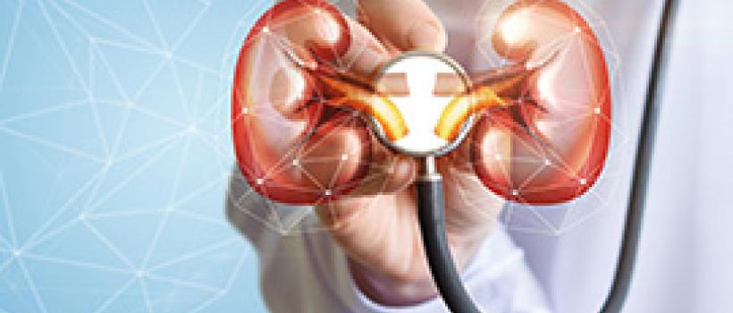 Nephrology And Urology Devices