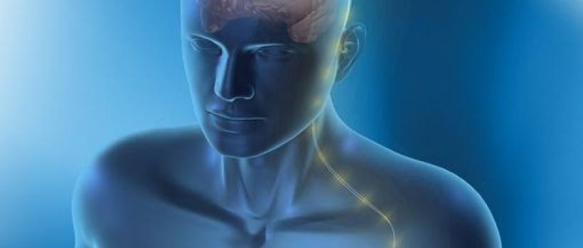 Neurostimulation Devices Market