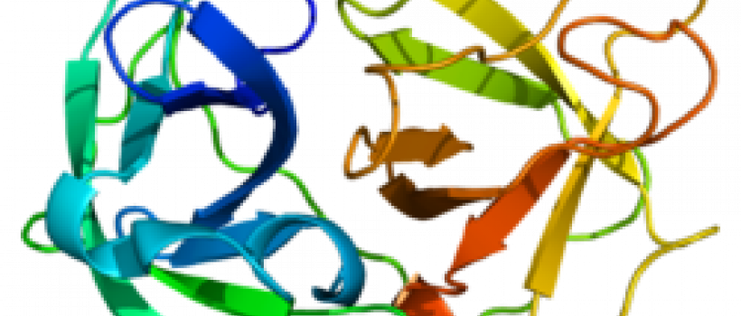  Neutrophil Elastase Inhibitator Industry