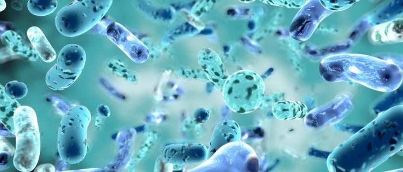  Next Generation Probiotics Market