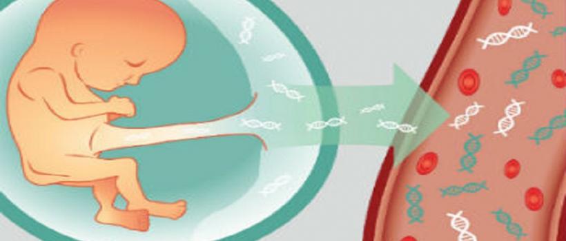 Non-Invasive Prenatal Testing (NIPT)