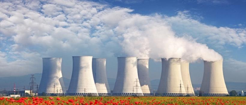 Nuclear Plant Life Extension