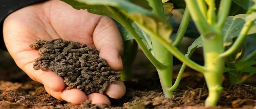 Nutrients and Micronutrient Fertilizers 