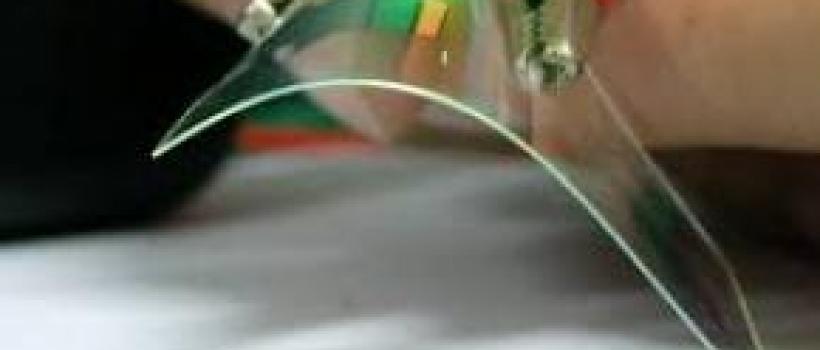 OLED 