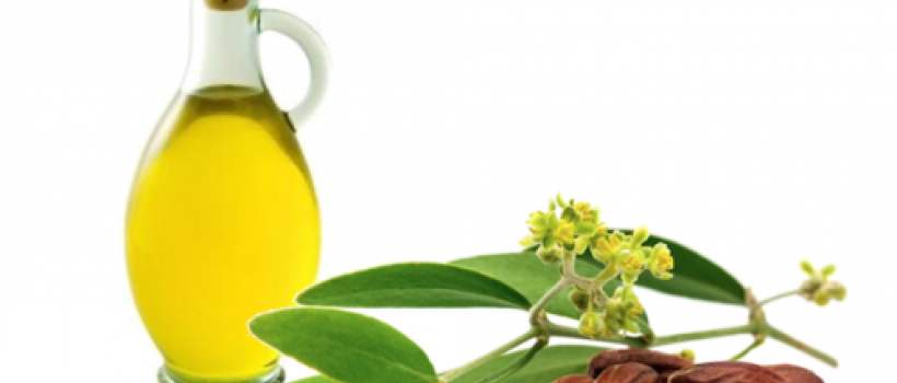 Oilfield Bio Solvents market