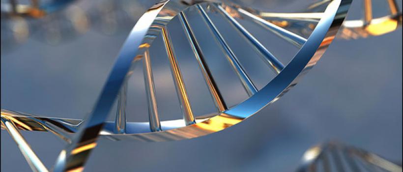 Oligonucleotide pool Market