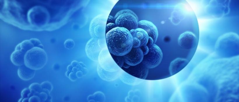 Oncology Information System 