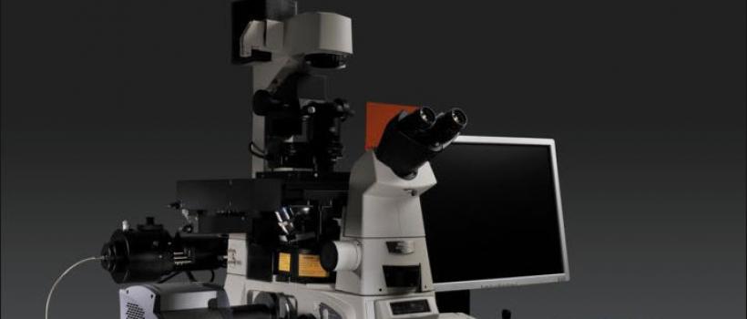 Optical Microscopes Market