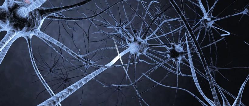 Optogenetics Market 