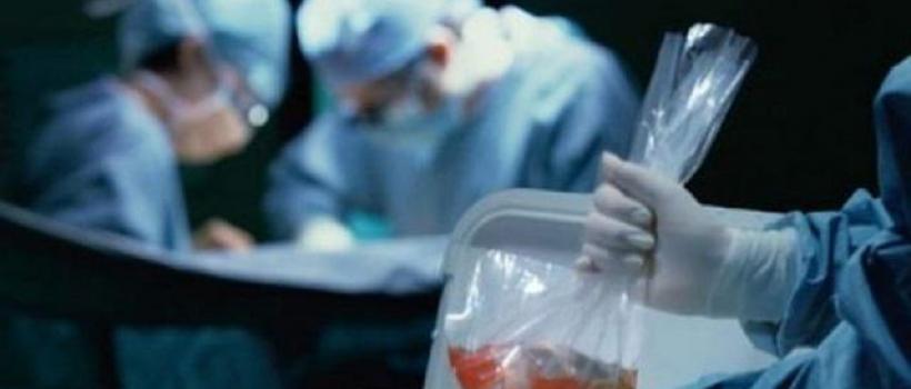 Organ Preservation Market
