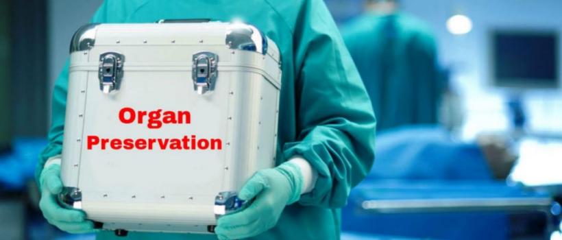 Organ Preservation Market