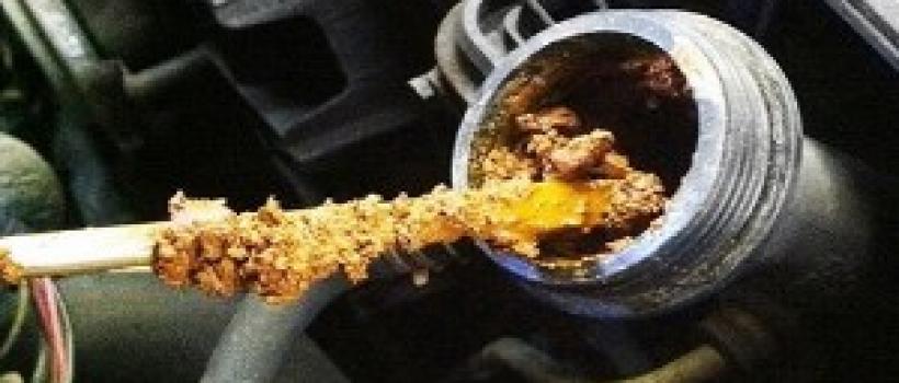 Organic Acid Technology (OAT) Antifreeze 