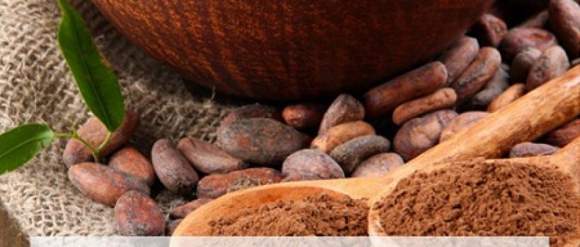 Organic Cocoa Market