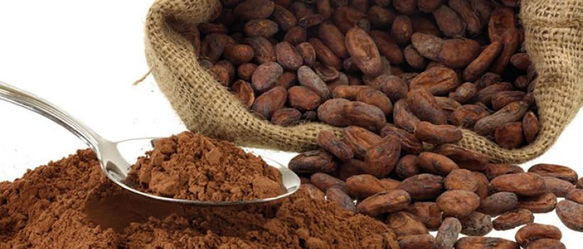 Organic Cocoa, Organic Cocoa Market, Organic Cocoa Market Growth