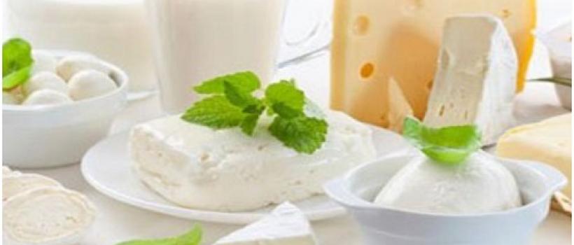 Organic Dairy Market Report