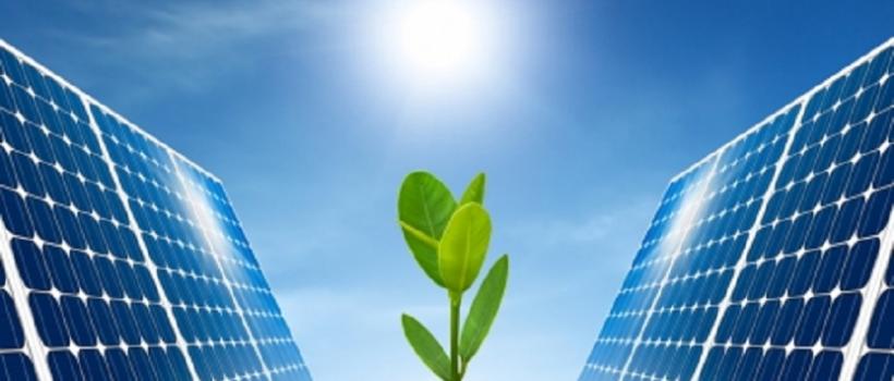 Organic Photovoltaic Panel