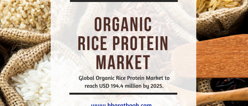 Organic Rice Protein Market 