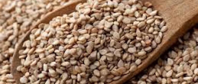 Organic Sesame Seed Market