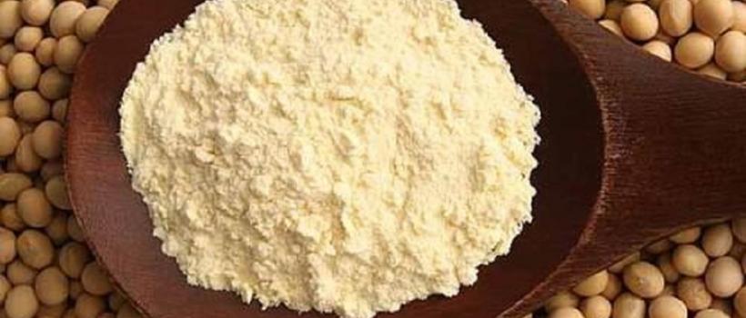 Organic Soy Protein Concentrate Market 