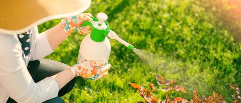 Organic pesticides, Organic pesticides Market, Organic pesticides Market Growth