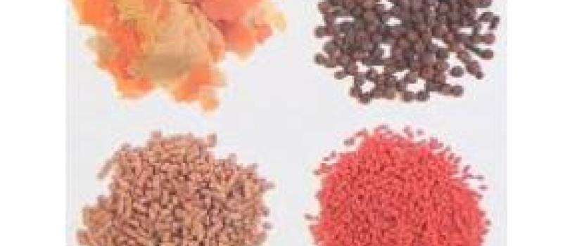 Ornamental Fish Feed