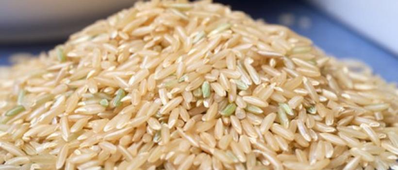 Middle East And Africa Oryzenin Market 2024