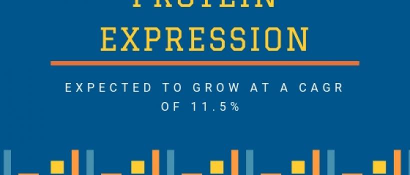Protein Expression Market
