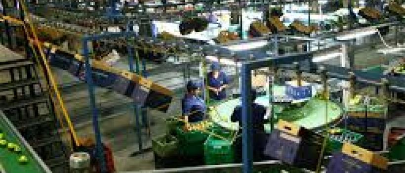 Packaging Industry , Packaging Industry Market, Packaging Industry MarketGrowth, Presses Release, Packaging Industry Manufacturers, Packaging Industry Status