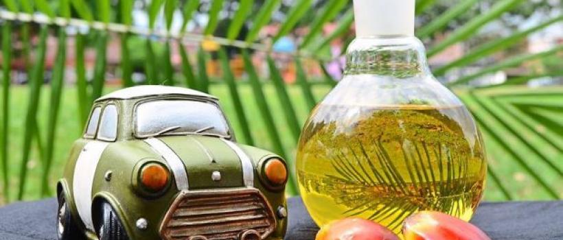 Palm Methyl Ester Biodiesel Industry