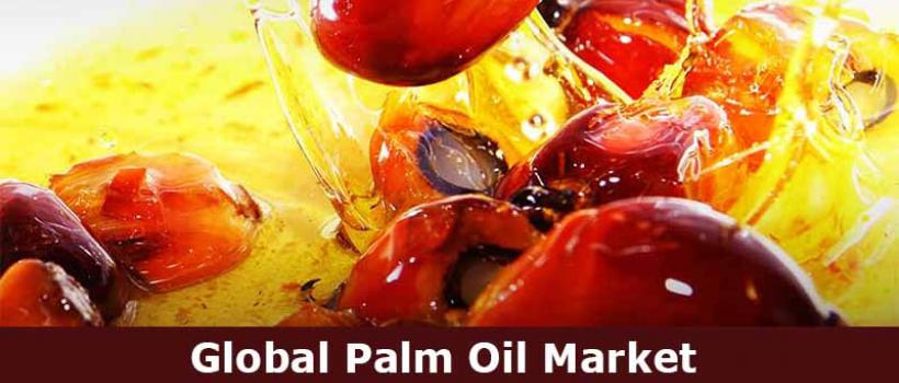Palm Oil Market