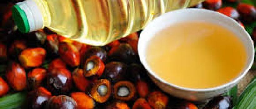 Palm Oil