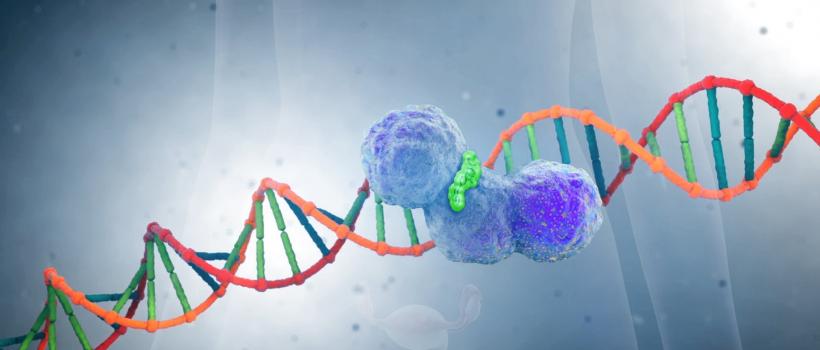 PARP Inhibitor Market