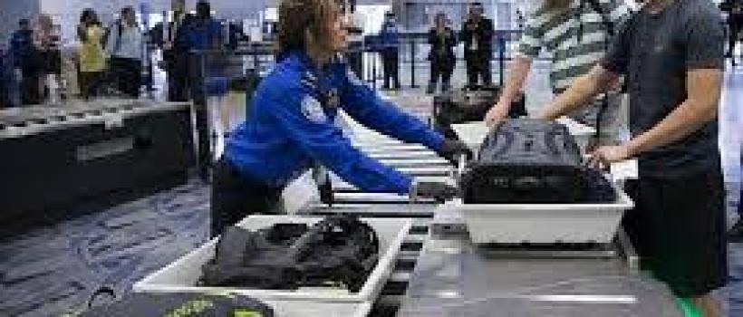 Passenger Security System Industry Report