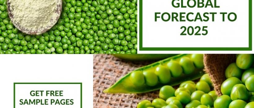  Pea Protein Market