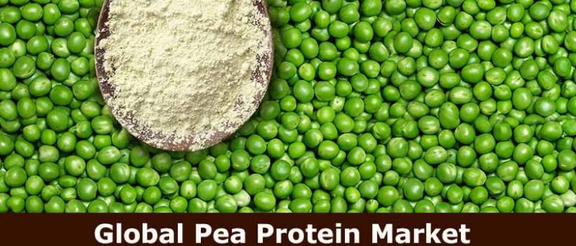 Global Pea Protein Market