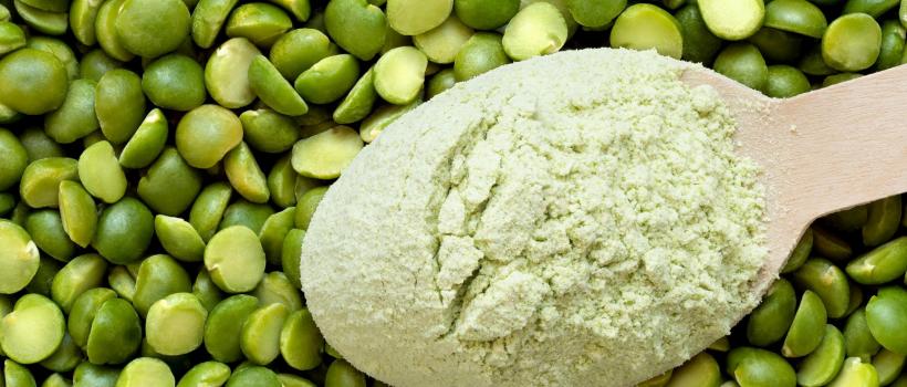 pea protein market
