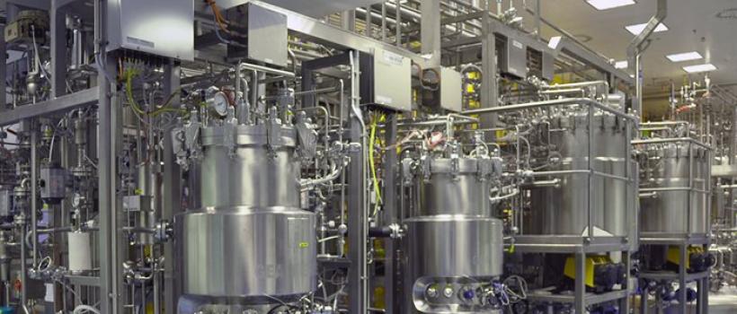 Perfusion Bioreactors