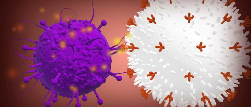 Personalized Cell Therapy Market