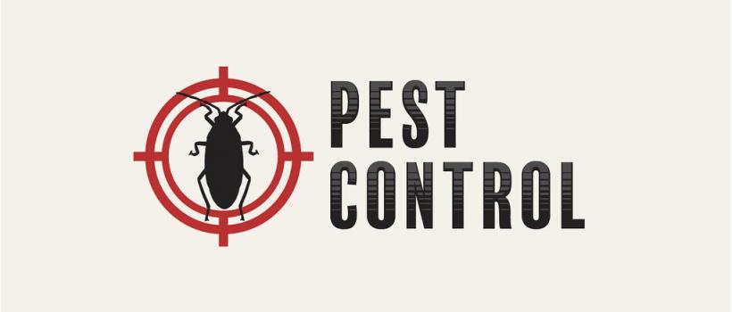 There are a lot of pest control methods that are available in the market. Usually, pesticide are used to get rid of these pests. To remove different pests you will need different pesticides.