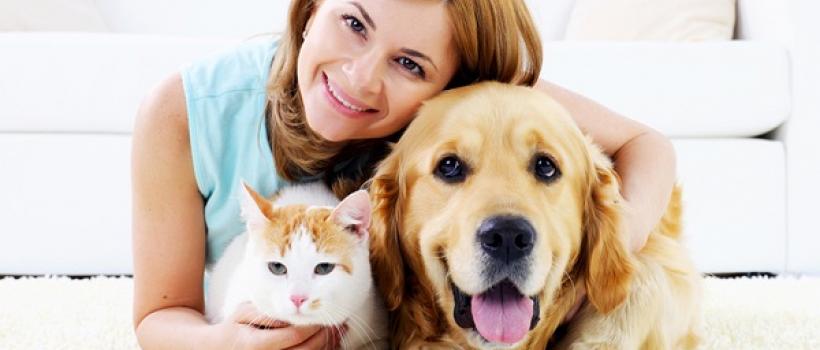 Pet Care 