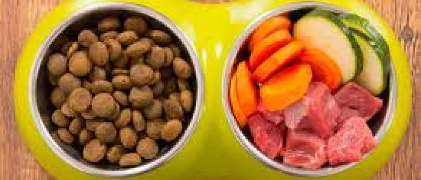 Pet Food Flavors Market 