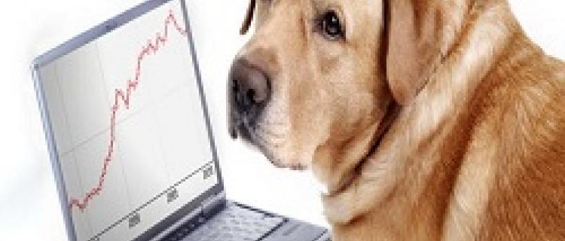 Pet Sitting Software