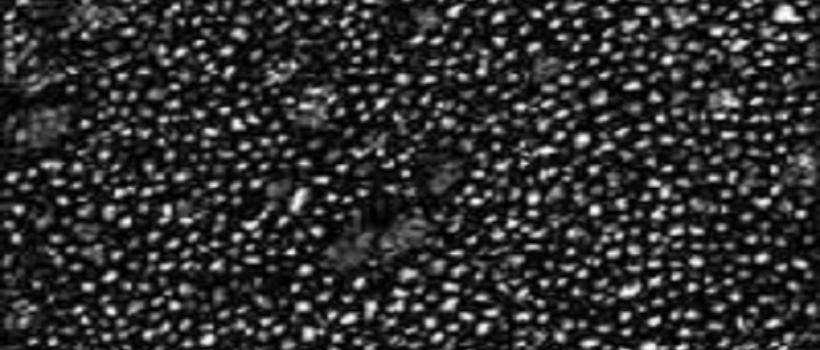 Petroleum Coke (Petcoke) 