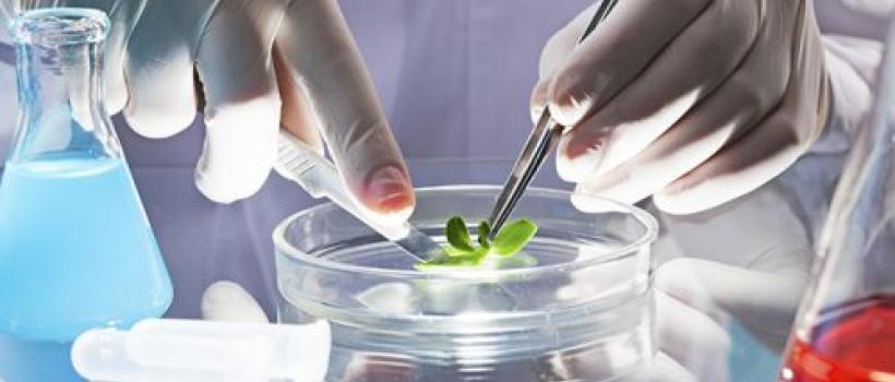 Pharmaceutical & Biotechnology Environmental Monitoring