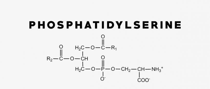 Phosphatidylserine Market 