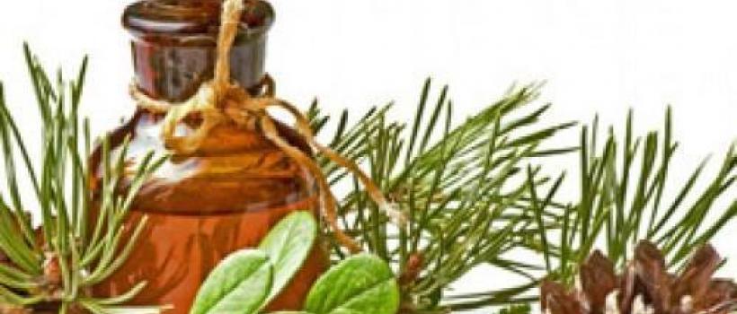 Pine Oil Industry