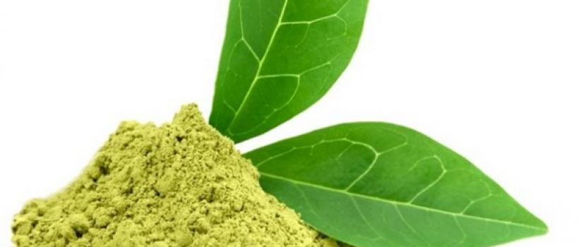  Plant Extracts