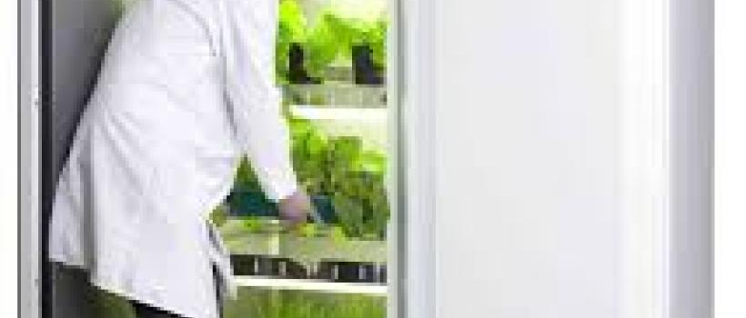 Plant Growth Chamber Industry