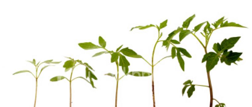 Plant Growth Regulators Market